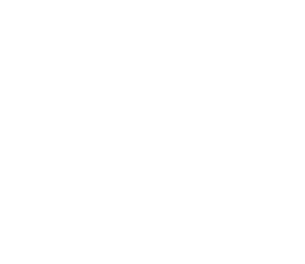 Solace logo